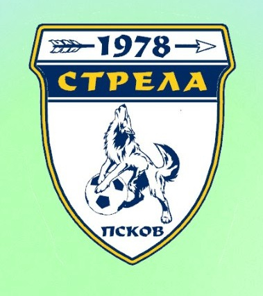 СПОРТИВНАЯ ШКОЛА ПО ФУТБОЛУ СТРЕЛА