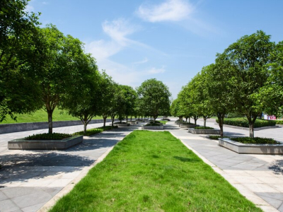 Благоустройство территории, озеленение