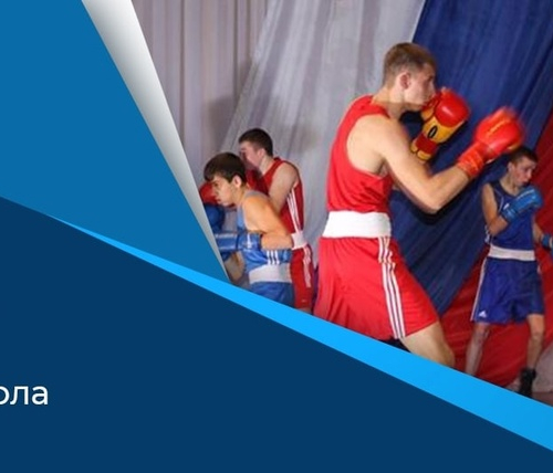 СПОРТИВНАЯ ШКОЛА ЛИДЕР