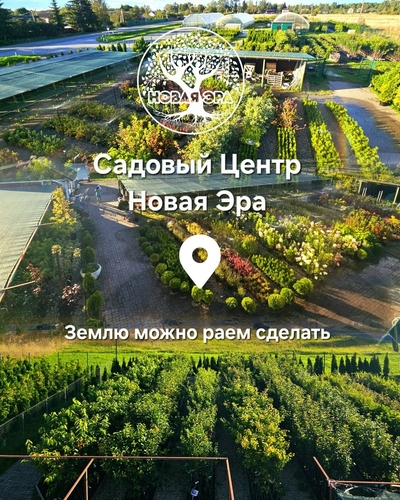 Садовый центр «Новая Эра»: Ваш путь к идеальному саду!