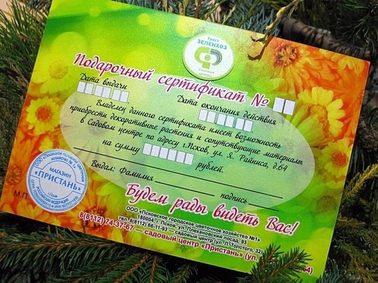 Всегда в наличии подарочные сертификаты!